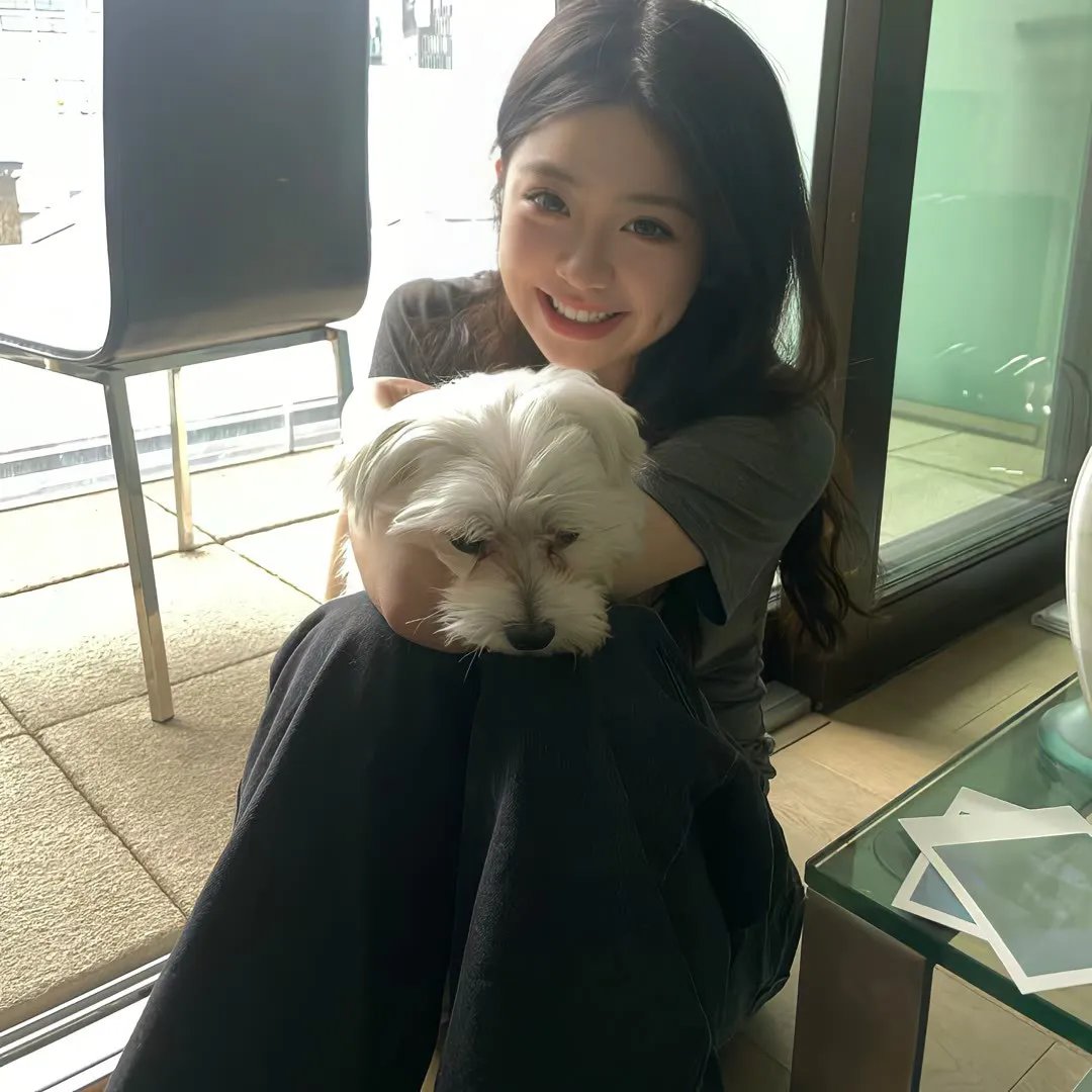 乌龙疯狂大轰炸